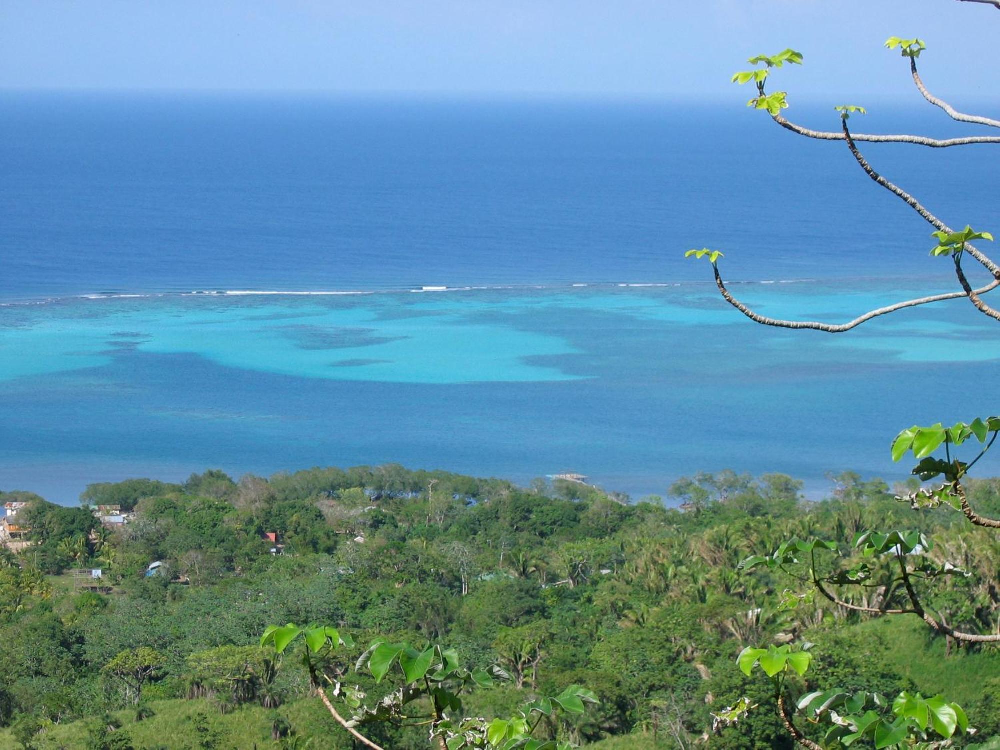 Roatan Bed & Breakfast Apartments West End Eksteriør bilde